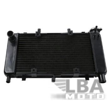 9 999 р. Радиатор для Yamaha FZ6, FZ6N, FZ6-N, FZ6S  04-10  пм-00000940  с доставкой в г. Майкоп. Увеличить фотографию 1