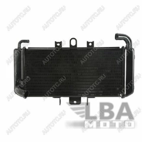 10 529 р. Радиатор для Yamaha FZS600 98-03  пм-00000942  с доставкой в г. Майкоп