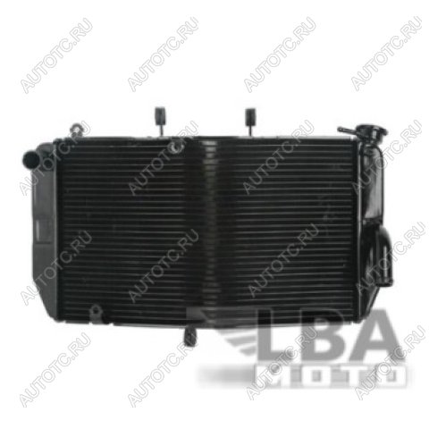 11 709 р. Радиатор для Honda CBR600RR 03-06  пм-00000944  с доставкой в г. Майкоп