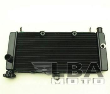 12 449 р. Радиатор для Honda CB600F 98-05 (Hornet), CB600F 00-03 (Hornet S)  пм-00000958  с доставкой в г. Майкоп. Увеличить фотографию 1