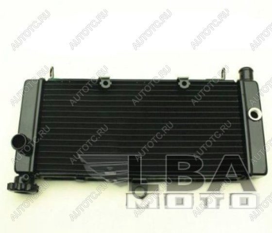 12 449 р. Радиатор для Honda CB600F 98-05 (Hornet), CB600F 00-03 (Hornet S)  пм-00000958  с доставкой в г. Майкоп