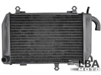 12 449 р. Радиатор левый для Honda GL1800 LH 01-14, GL1800B LH 13-14  пм-00003644  с доставкой в г. Майкоп. Увеличить фотографию 1