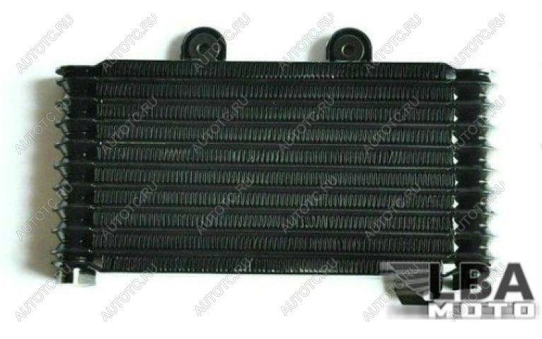 11 759 р. Радиатор масляный для Suzuki GSF600 95-99  пм-00003652  с доставкой в г. Майкоп