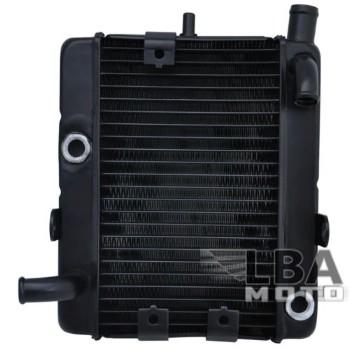 17 449 р. Радиатор для Yamaha YP250  пм-00003663  с доставкой в г. Майкоп. Увеличить фотографию 1
