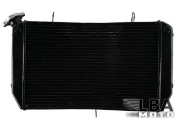 12 559 р. Радиатор для Yamaha FZ1 06-13, FZ1-N 06-12, FZ1-S 06-13, FZ8-N 11-13, FZ8-S 11-13  пм-00003665  с доставкой в г. Майкоп. Увеличить фотографию 1