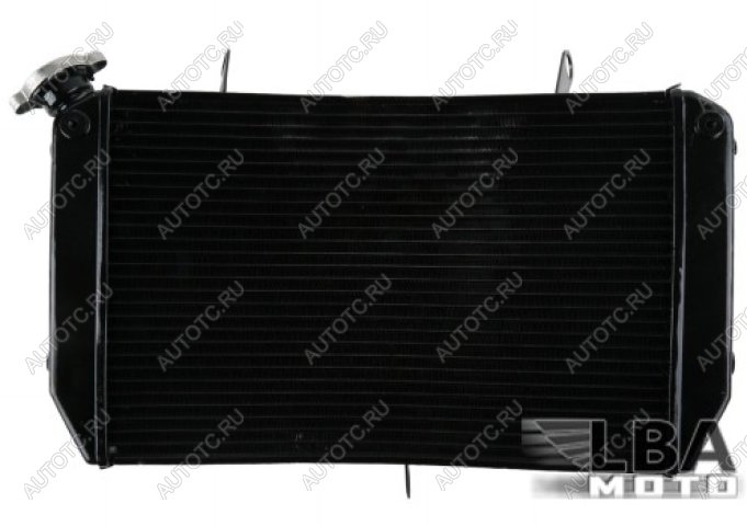 12 559 р. Радиатор для Yamaha FZ1 06-13, FZ1-N 06-12, FZ1-S 06-13, FZ8-N 11-13, FZ8-S 11-13  пм-00003665  с доставкой в г. Майкоп