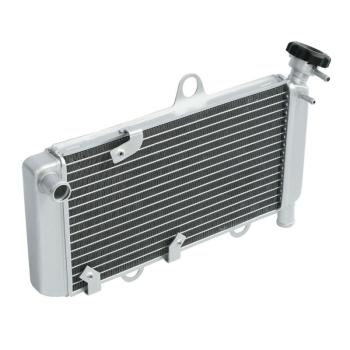 10 649 р. Радиатор для Yamaha XT660R, XT660X 04-14  пм-00025634  с доставкой в г. Майкоп. Увеличить фотографию 2