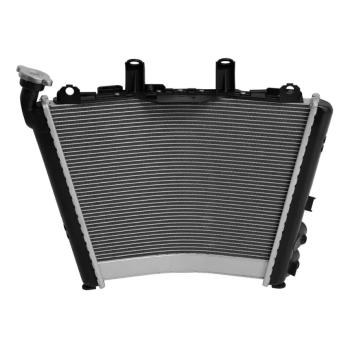 24 999 р. Радиатор для BMW M1000RR 21-24, S1000R 21-24, S1000RR 19-24  пм-00030874  с доставкой в г. Майкоп. Увеличить фотографию 3