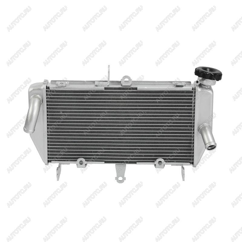 13 669 р. Радиатор для Yamaha MT-03, MT-25 16-24  пм-00030800  с доставкой в г. Майкоп