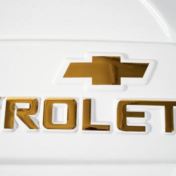 1 939 р. Колпак запасного колеса Chevrolet NIVA (до 2009 г.в.) ООО Автостайл Автостайл ООО г. Сызрань 2000000700410  с доставкой в г. Майкоп. Увеличить фотографию 3