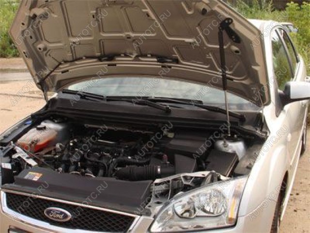 2 699 р. Упор капота ТехноМастер  Ford Focus  2 (2004-2008)  седан дорестайлинг, универсал дорестайлинг, хэтчбэк 3 дв. дорестайлинг, хэтчбэк 5 дв. дорестайлинг  с доставкой в г. Майкоп