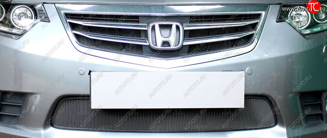 3 079 р. Защитная сетка в бампер (низ, ячейка 3х7 мм) Alfeco Стандарт Honda Accord 9 CR седан дорестайлинг (2013-2016) (Чёрная)  с доставкой в г. Майкоп