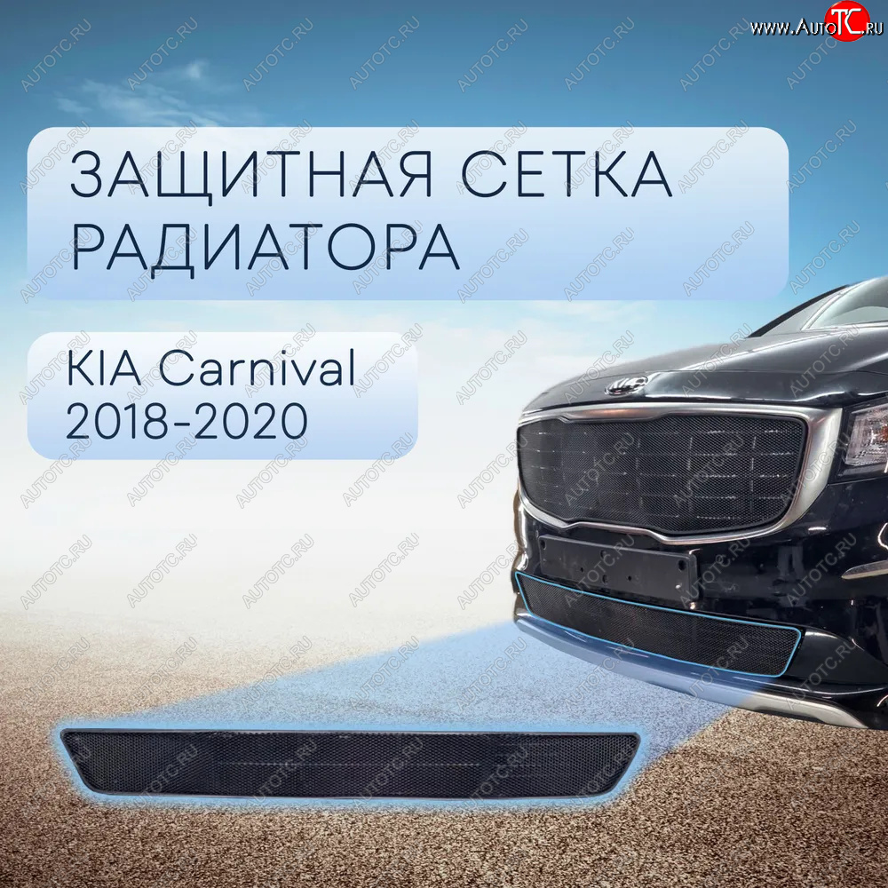 2 489 р. Защитная сетка в бампер (низ, ячейка 3х7 мм) Alfeco Стандарт KIA Carnival YP минивэн рестайлинг (2018-2020) (Чёрная)  с доставкой в г. Майкоп