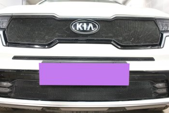 Защитная сетка в бампер (середина, ячейка 3х7 мм) Alfeco Стандарт KIA Sorento MQ4 (2020-2022)