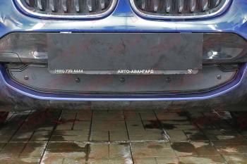 Зимняя заглушка решетки радиатора (низ) (G01) (20 i 20 d30 d AT Base) Стрелка11 BMW X3 G01 дорестайлинг (2017-2021) (черная)