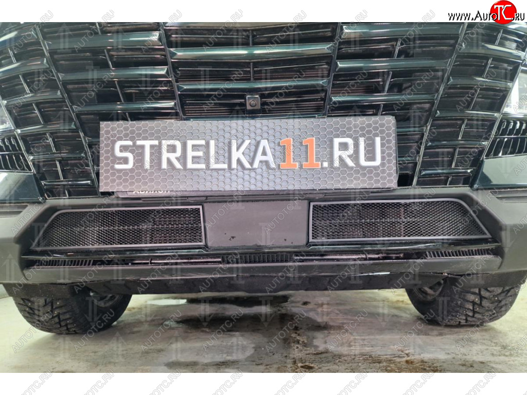 2 399 р. Защитная сетка в бампер (низ, 2 части, ячейка 3х7 мм) Alfeco Стандарт Jetour Dashing (2022-2025) (Чёрная)  с доставкой в г. Майкоп