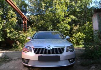 Защита радиатора Стрелка11 PREMIUM Skoda Superb B6 (3T5) универсал рестайлинг (2013-2015) (хром)
