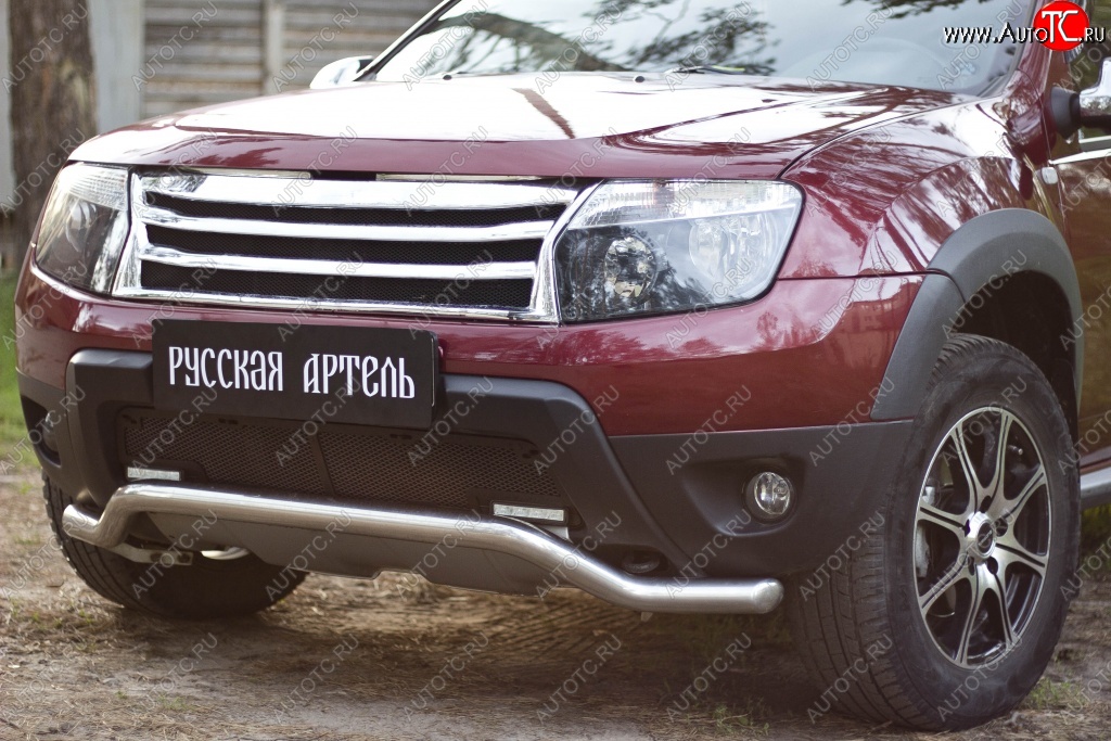 2 199 р. Защитная сетка решетки переднего бампера (c дхо и обвесом) РА Renault Duster HS дорестайлинг (2010-2015)  с доставкой в г. Майкоп