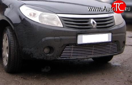 5 999 р. Декоративная вставка воздухозаборника Berkut Renault Sandero (BS) (2009-2014)  с доставкой в г. Майкоп