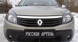 2 199 р. Защитная сетка решетки переднего бампера РА Renault Sandero Stepway (BS) (2010-2014)  с доставкой в г. Майкоп. Увеличить фотографию 3