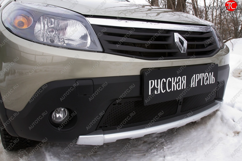 2 199 р. Защитная сетка решетки переднего бампера РА Renault Sandero Stepway (BS) (2010-2014)  с доставкой в г. Майкоп