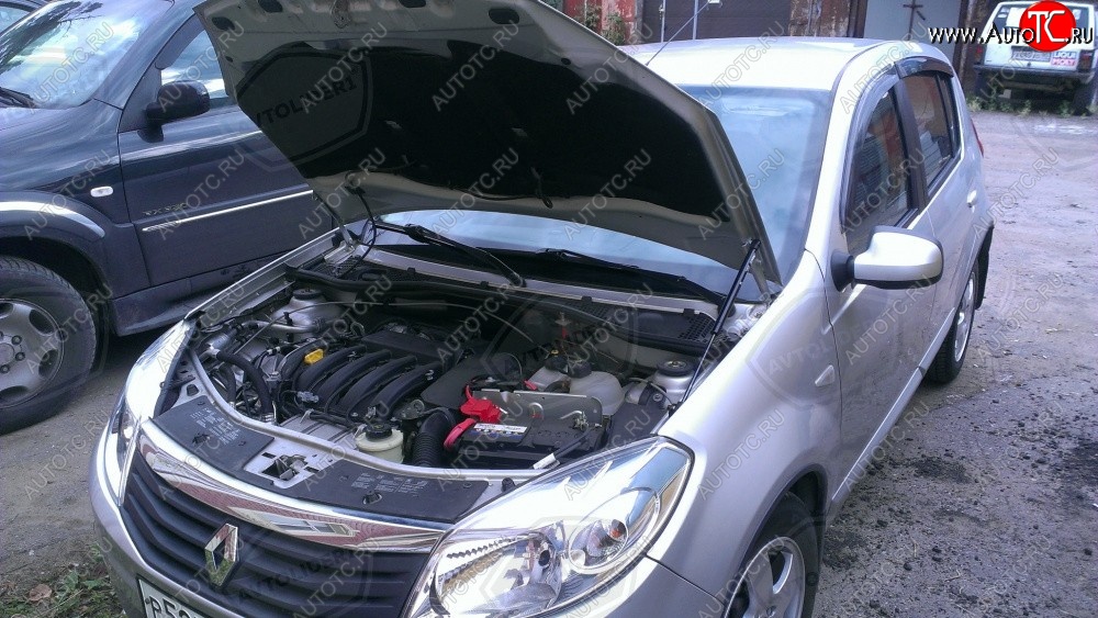 2 049 р. Упор капота Russtal Renault Sandero Stepway (BS) (2010-2014)  с доставкой в г. Майкоп