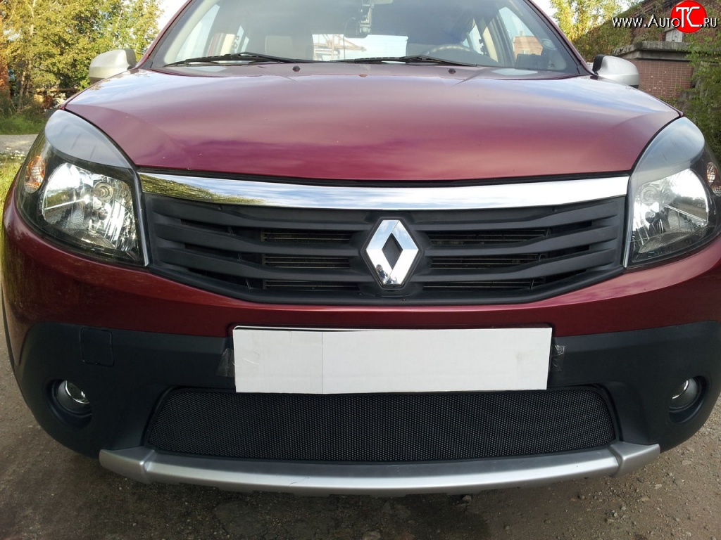1 934 р. Сетка на бампер Novline Renault Sandero Stepway (B8) дорестайлинг (2014-2018)  с доставкой в г. Майкоп