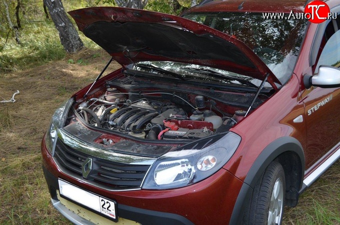 2 969 р. Упор капота Sport. Renault Sandero Stepway (BS) (2010-2014)  с доставкой в г. Майкоп