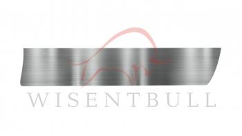 Ремкомплект правой двери Wisentbull Renault Scenic 1 (1996-2003)