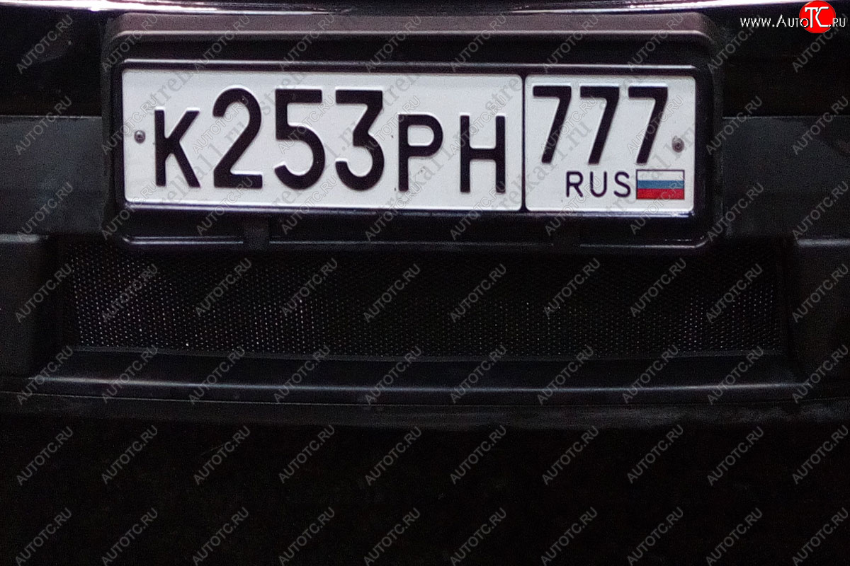 2 899 р. Защитная сетка радиатора в бампер (ячейка 3х7 мм, комплект) Стрелка 11 Стандарт Ford Explorer U502 дорестайлинг (2010-2016) (черная)  с доставкой в г. Майкоп