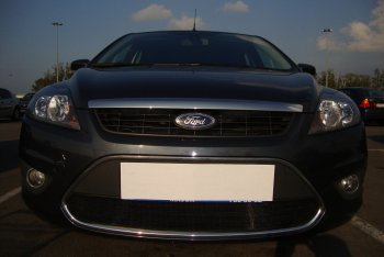 Защитная сетка радиатора в бампер (ячейка 3х7 мм) Стрелка 11 Стандарт Ford Focus 2 хэтчбэк 5 дв. рестайлинг (2007-2011)