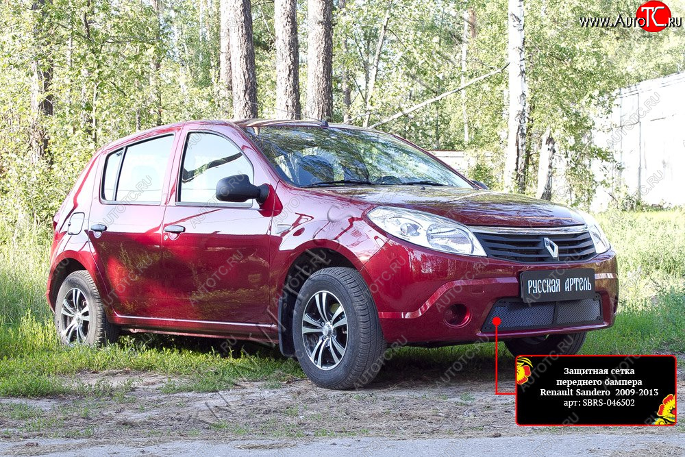 2 149 р. Защитная сетка решетки переднего бампера Русская Артель Renault Sandero (BS) (2009-2014) (Поверхность текстурная)  с доставкой в г. Майкоп