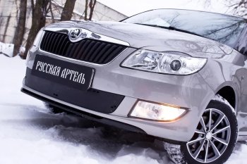 Комплект защиты (сетка и зимняя заглушка) в передний бампер Русская Артель Skoda Fabia Mk2 хэтчбэк рестайлинг (2010-2014) (Поверхность текстурная)