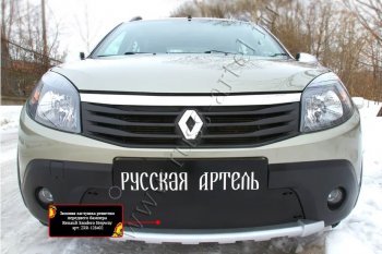 Защитная сетка и зимняя заглушка решетки радиатора Русская Артель Renault Sandero Stepway (BS) (2010-2014) (Поверхность текстурная)