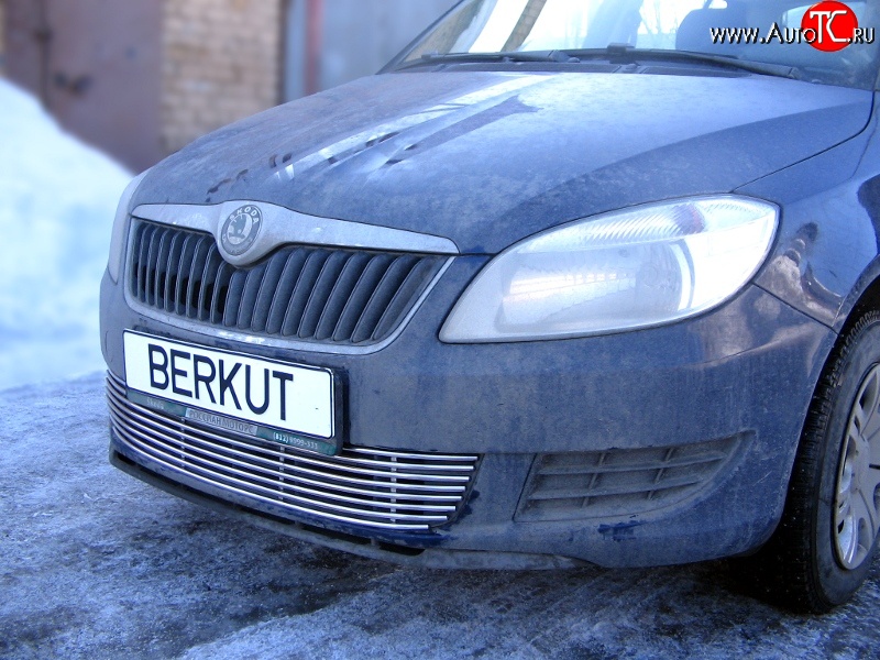5 899 р. Декоративная вставка воздухозаборника Berkut Skoda Fabia Mk2 хэтчбэк дорестайлинг (2007-2010)  с доставкой в г. Майкоп