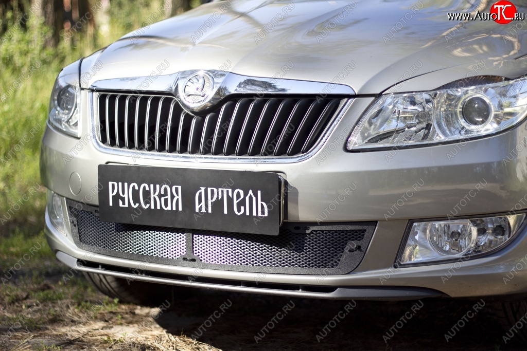 2 069 р. Защитная сетка решетки переднего бампера РА Skoda Fabia Mk2 универсал рестайлинг (2010-2014)  с доставкой в г. Майкоп