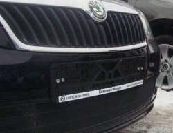 1 469 р. Сетка на бампер (рестайлинг) Russtal (черная) Skoda Fabia Mk2 хэтчбэк дорестайлинг (2007-2010)  с доставкой в г. Майкоп. Увеличить фотографию 2