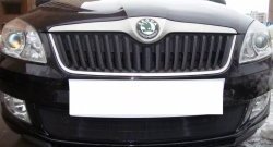1 469 р. Сетка на бампер (рестайлинг) Russtal (черная) Skoda Fabia Mk2 хэтчбэк дорестайлинг (2007-2010)  с доставкой в г. Майкоп. Увеличить фотографию 4