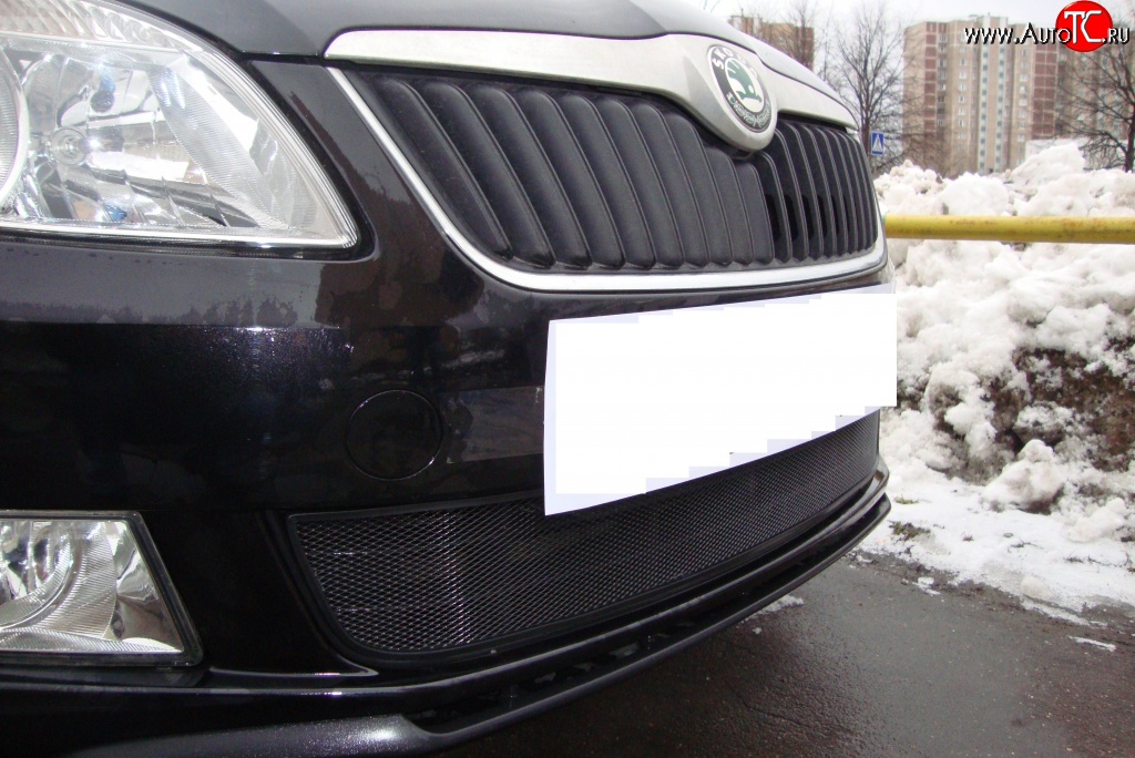 1 469 р. Сетка на бампер (рестайлинг) Russtal (черная) Skoda Fabia Mk2 хэтчбэк дорестайлинг (2007-2010)  с доставкой в г. Майкоп
