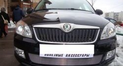 1 539 р. Сетка на бампер (рестайлинг) Russtal (хром) Skoda Fabia Mk2 хэтчбэк дорестайлинг (2007-2010)  с доставкой в г. Майкоп. Увеличить фотографию 2