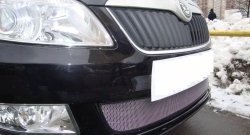 1 539 р. Сетка на бампер (рестайлинг) Russtal (хром) Skoda Fabia Mk2 хэтчбэк дорестайлинг (2007-2010)  с доставкой в г. Майкоп. Увеличить фотографию 3