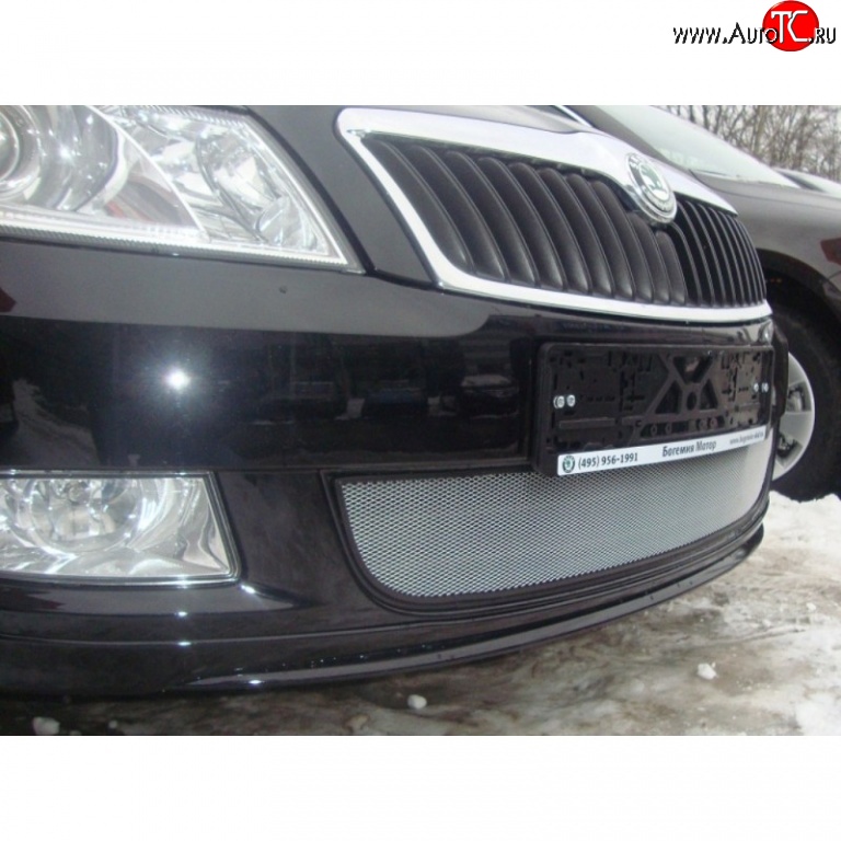 1 539 р. Сетка на бампер (рестайлинг) Russtal (хром) Skoda Fabia Mk2 хэтчбэк дорестайлинг (2007-2010)  с доставкой в г. Майкоп