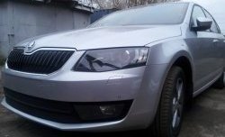 2 569 р. Сетка (для комплектации Ambition, Elegance) на бампер Russtal (черная) Skoda Octavia A7 дорестайлинг лифтбэк (2012-2017)  с доставкой в г. Майкоп. Увеличить фотографию 2
