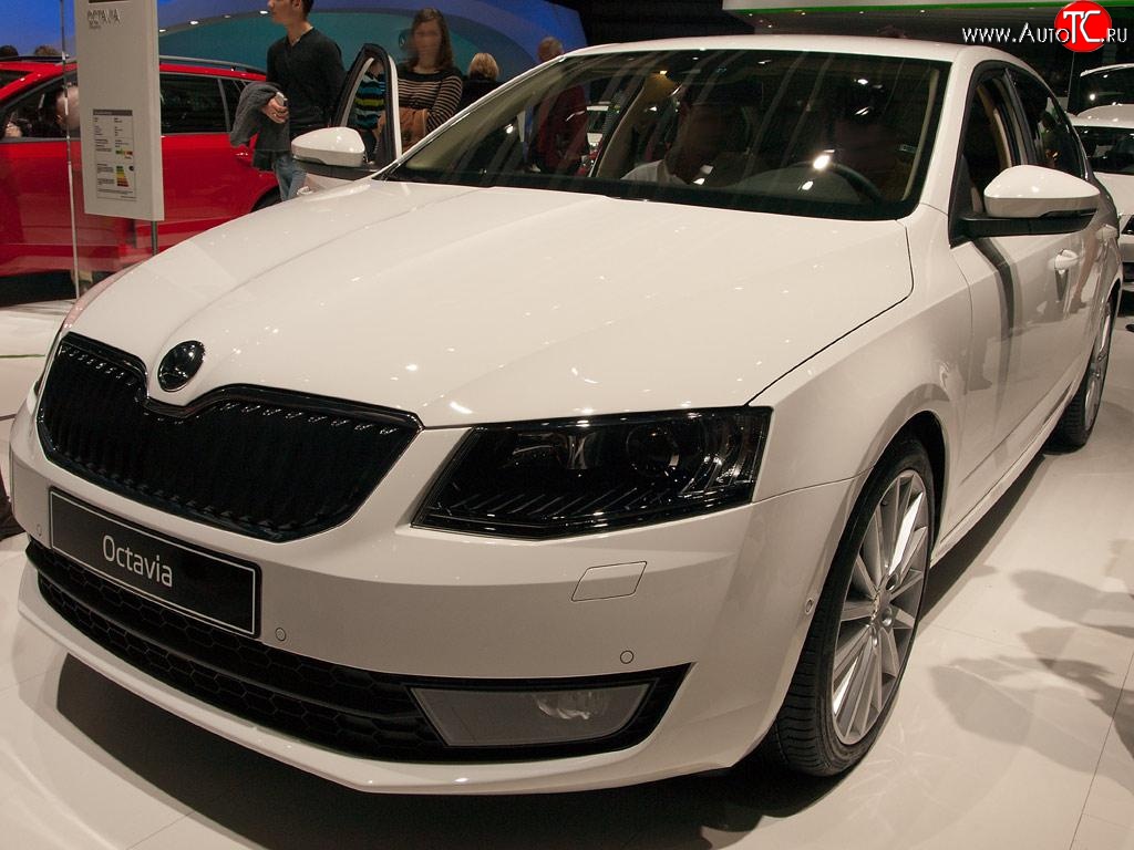 2 569 р. Сетка (для комплектации Ambition, Elegance) на бампер Russtal (черная) Skoda Octavia A7 дорестайлинг лифтбэк (2012-2017)  с доставкой в г. Майкоп