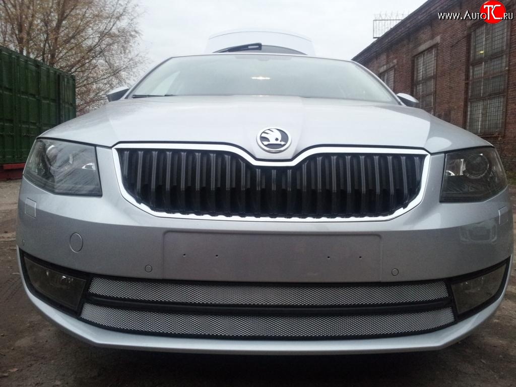 2 699 р. Сетка (для комплектации Ambition, Elegance) на бампер Russtal (хром) Skoda Octavia A7 дорестайлинг лифтбэк (2012-2017)  с доставкой в г. Майкоп