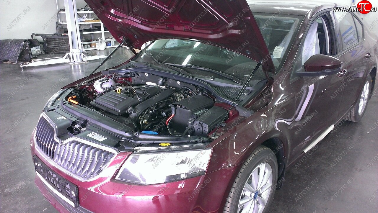 2 049 р. Упоры капота Russtal Skoda Octavia A7 дорестайлинг лифтбэк (2012-2017)  с доставкой в г. Майкоп