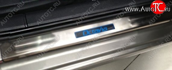 2 599 р. Накладки на порожки автомобиля CT v2 Skoda Octavia A5 дорестайлинг универсал (2004-2008)  с доставкой в г. Майкоп