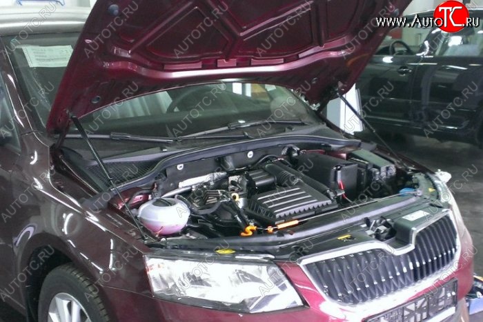 1 649 р. Газовые упоры капота Berkut Skoda Octavia A7 дорестайлинг лифтбэк (2012-2017)  с доставкой в г. Майкоп