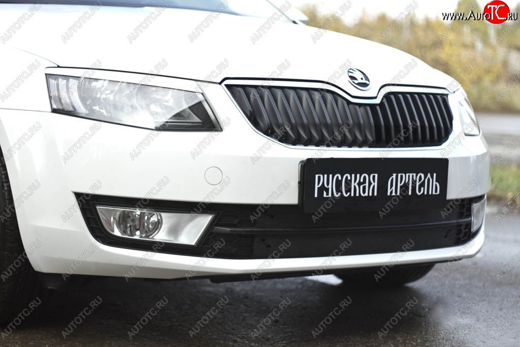 1 039 р. Зимняя заглушка решетки переднего бампера РА Skoda Octavia A7 дорестайлинг лифтбэк (2012-2017)  с доставкой в г. Майкоп