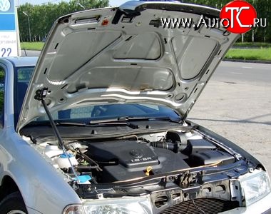 2 969 р. Упор капота Sport  Skoda Octavia ( Tour A4 1U5,  Tour A4 1U2) (1996-2000) универсал дорестайлинг, лифтбэк дорестайлинг  с доставкой в г. Майкоп
